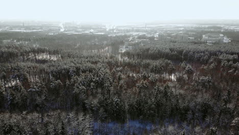 AERIAL-CLOSE-UP-Flying-over-frozen-treetops-in-snowy-mixed-forest-at-misty-sunrise.-Golden-sun-rising-behind-icy-mixed-forest-wrapped-in-morning-fog-and-snow-in-cold-winter.-Stunning-winter-landscape